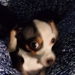 Meet your Posher, Sherry